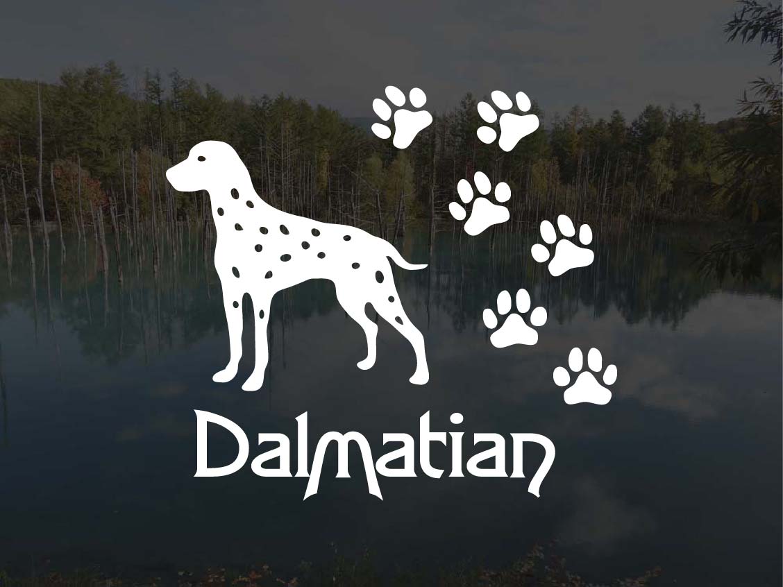 [犬のステッカー]『DOG STICKER』 肉球いっぱいドッグステッカーダルメシアン(Sサイズ)
