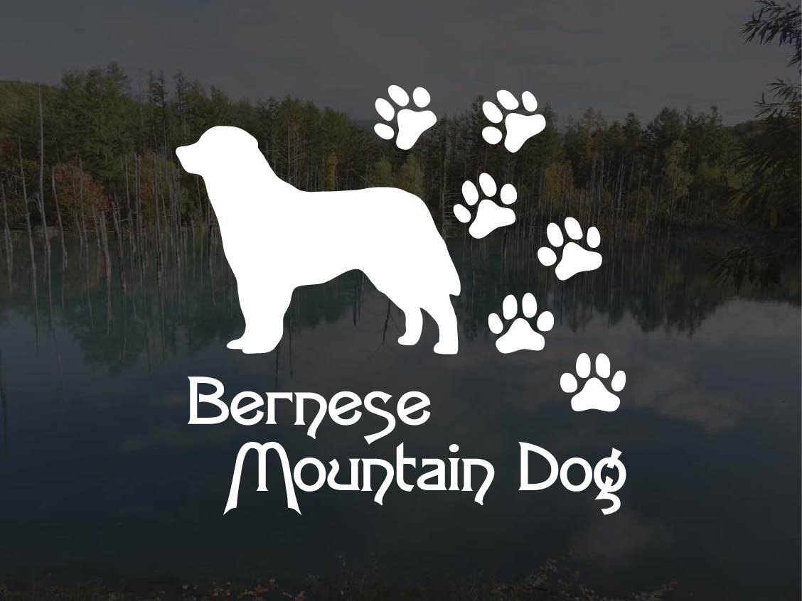 [犬のステッカー]『DOG STICKER』 肉球いっぱいドッグステッカーバーニーズマウンテンドッグ (Sサイズ)..