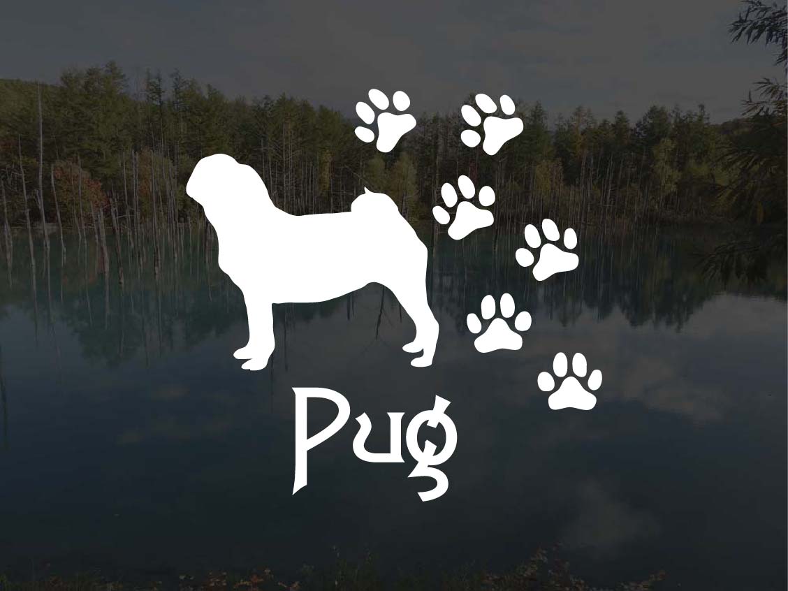 [犬のステッカー]『DOG STICKER』肉球いっぱいドッグステッカーパグ(Sサイズ)