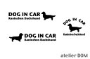 『DOG STICKER』ドッグステッカー『DOG IN CAR』カニンヘンダックスフンド ロングヘアード 3枚組