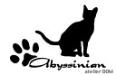 少し大きめのキャット猫ステッカーアビシニアン Bタイプ(4)