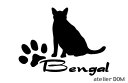 少し大きめのキャット猫ステッカーベンガル