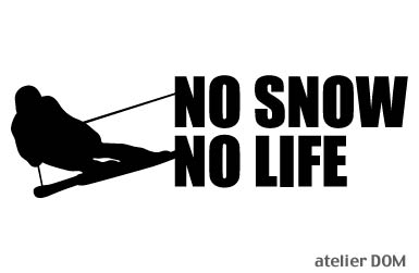 NO SNOW NO LIFE ステッカー スキー4 (Lサイズ)