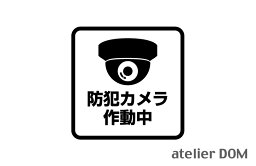 防犯カメラ作動中 ピクトサインステッカー幅12cm × 高さ12cm屋外OK 防犯 盗難防止 セキュリティーステッカーセキュリティステッカー 切り文字 カッティングステッカー ピクトサイン ステッカー シール