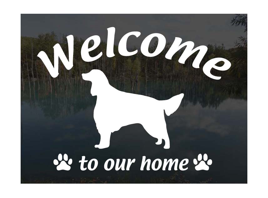 アイリッシュセターWelcome ステッカー屋外用 ウェルカム いらっしゃいませ犬 ステッカー シール 玄関..