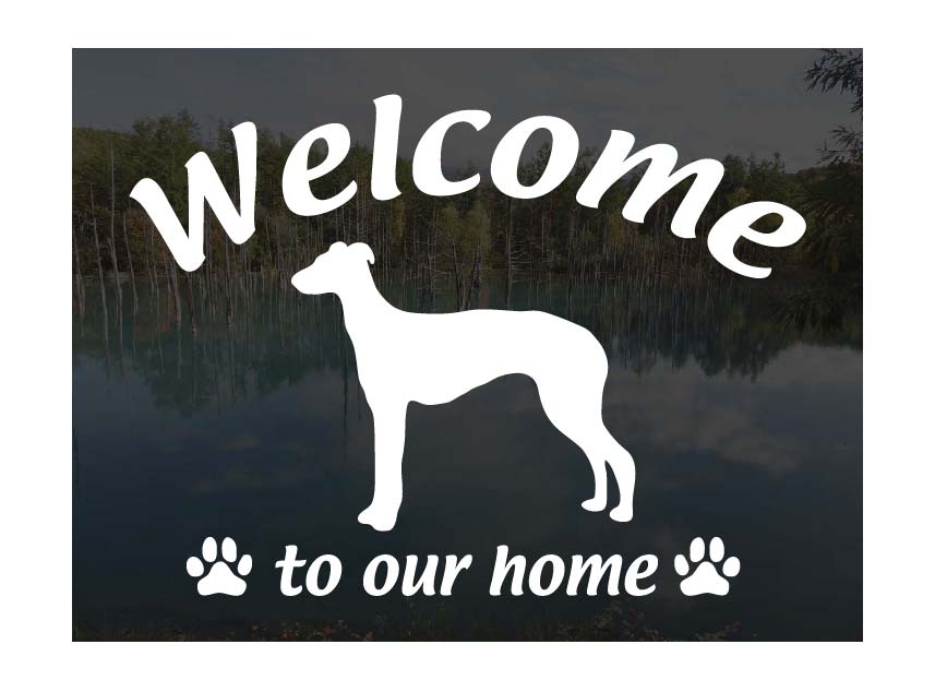 ウィペットWelcome ステッカー屋外用 ウェルカム いらっしゃいませ犬 ステッカー シール 玄関ドアガラス等に 切文字 転写ステッカー