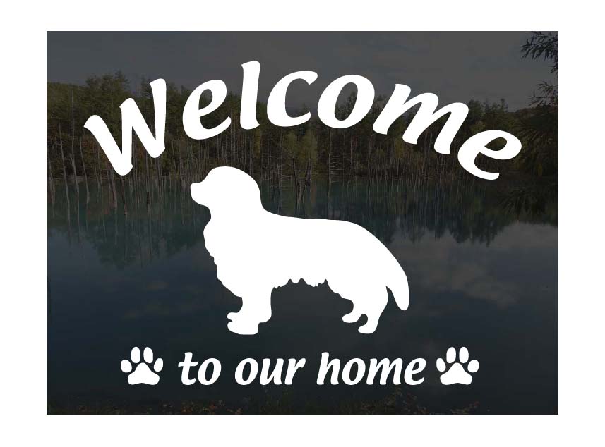 キャバリアキングチャールズスパニエルWelcome ステッカー屋外用 ウェルカム いらっしゃいませ犬 ステッカー シール 玄関ドアガラス等に 切文字 転写ステッカー