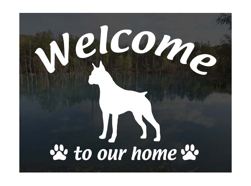 ボクサーWelcome ステッカー屋外用 ウェルカム いらっしゃいませ犬 ステッカー シール 玄関ドアガラス等に 切文字 転写ステッカー