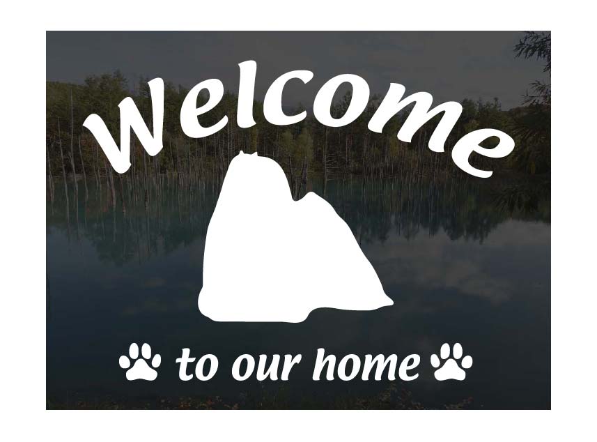 ޥWelcome ƥå 륫 ä㤤ޤ ƥå  إɥ饹 ʸ ž̥ƥå