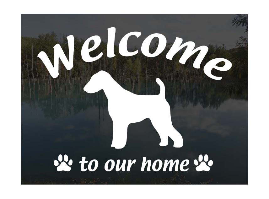 ǡƥꥢWelcome ƥå 륫 ä㤤ޤ ƥå  إɥ饹 ʸ ž̥ƥ...