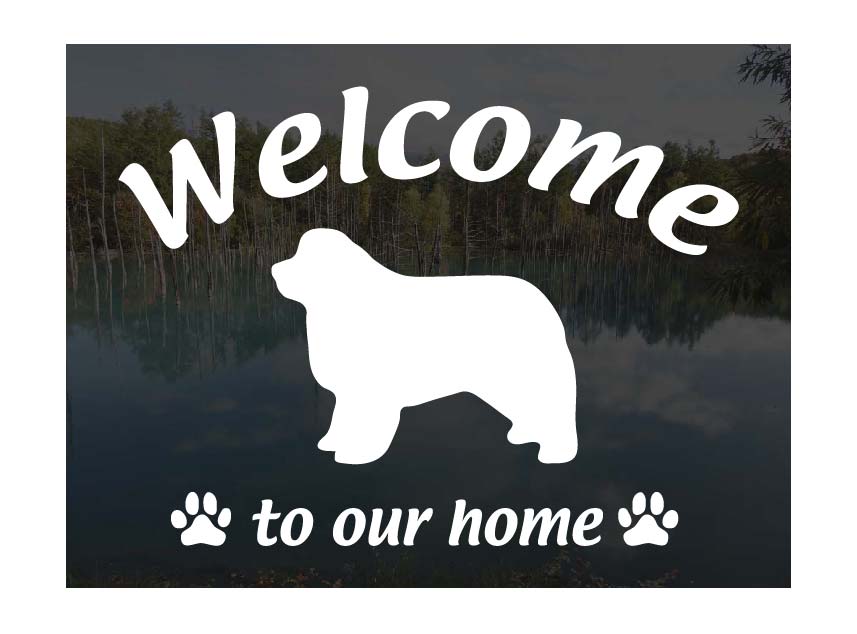 ニューファンドランドWelcome ステッカー屋外用 ウェルカム いらっしゃいませ犬 ステッカー シール 玄..
