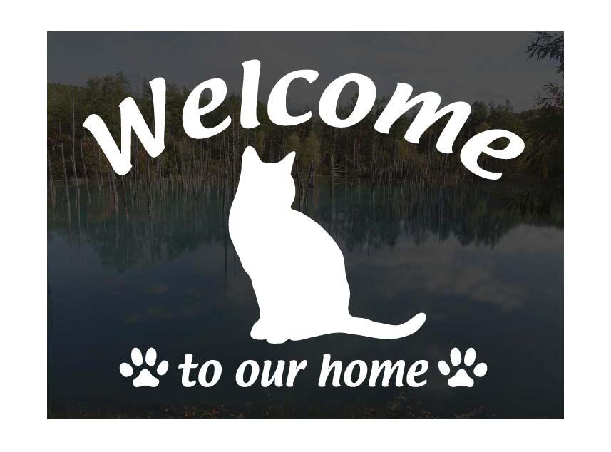 ȥ塼Welcome ƥå 륫 ä㤤ޤǭ ƥå  إɥ饹 ʸ ž̥ƥå...