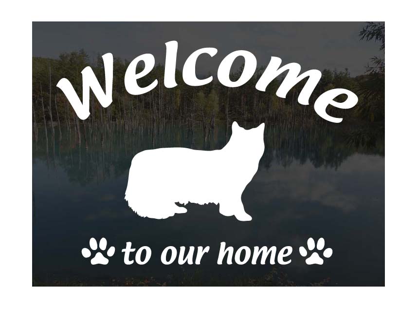 Υ륦ե쥹ȥåWelcome ƥå [C] 륫 ä㤤ޤǭ ƥå  إɥ...