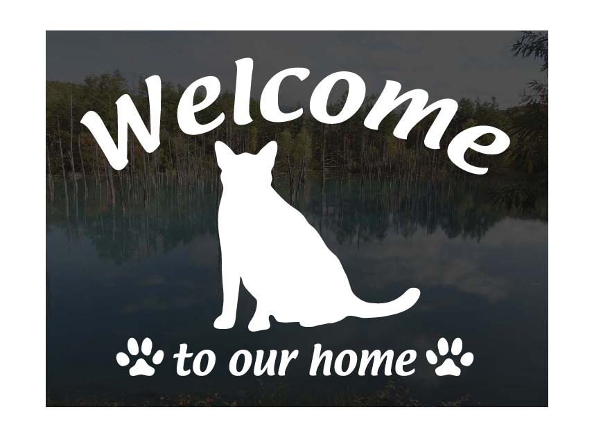 ベンガルWelcome ステッカー屋外用 ウェルカム いらっしゃいませ猫 ステッカー シール 玄関ドアガラス等に 切文字 転写ステッカー