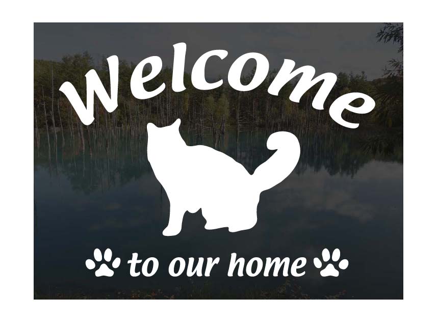 ᥤ󥯡Welcome ƥå [A] 륫 ä㤤ޤǭ ƥå  إɥ饹 ʸ ž̥...