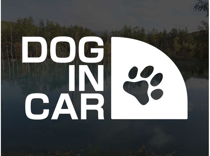 DOG IN CAR肉球 ステッカー 横15cm 犬 シール デカール