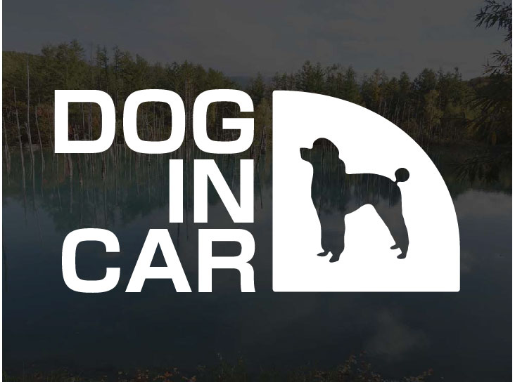 DOG IN CAR トイプードルB シルエット ステッカー 横15cm 犬 シール デカール プー...