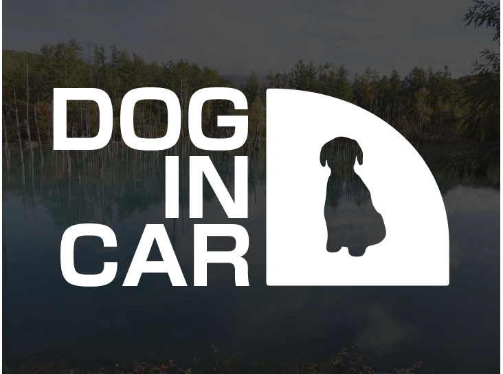 DOG IN CAR トイプードルC シルエット ステッカー 横15cm 犬 シール デカール プードル