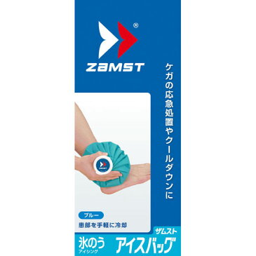 ザムスト【ZAMST】アイスバッグMサイズ