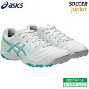 アシックス asics DS ライト ジュニア GS TF 1104A053-100 子供 サッカー フットボール トレーニング シューズ 土 天然芝 人工芝