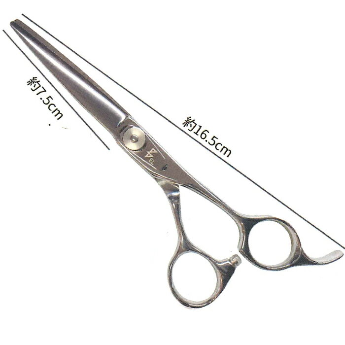 BEL scissors 　BSA-02　ブラントカット用パワータイプ　6.0インチ　ベルシザース　　カットシザー