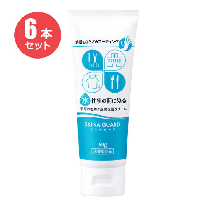 【6本セット】スキナガード 60g