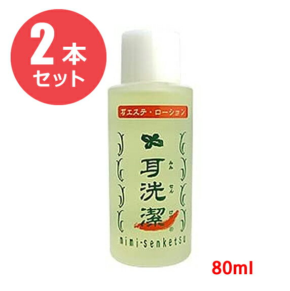 【2本セット】耳洗潔 80ml【業務用】（医薬部外品）