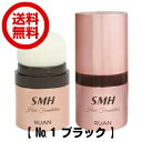 【送料無料】スーパーミリオンヘアー ヘアファンデーション 12g No.1 ブラック