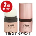 【送料無料】（2個セット）スーパーミリオンヘアー ヘアファンデーション 12g No.2 ダークブラウン