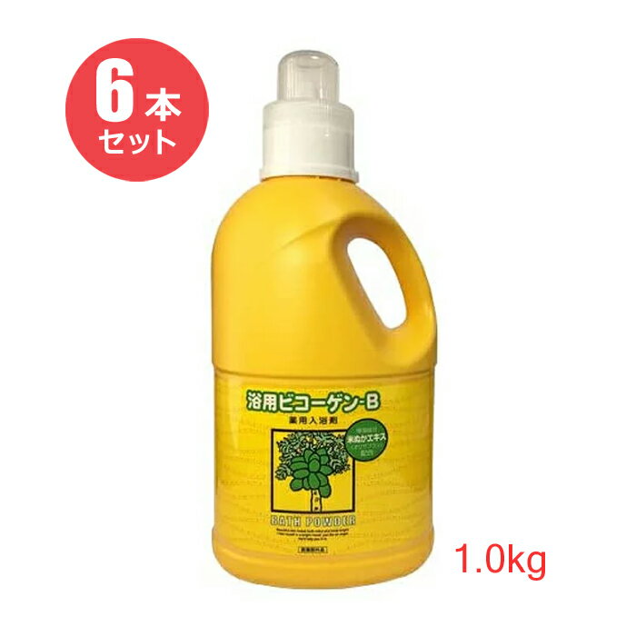【6本セット】リアル 浴用ビコーゲン BN 1.0kg
