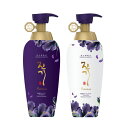 韓方 デンギモリ 珍気シャンプー トリートメント プレミアム セット 各500ml 【デンギモリ】