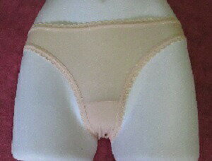 【12/4 20:00〜限定20%OFF!!】 スイムショーツ スクール型 LLサイズ限定 大きいサイズ インナーショーツ 水着 レディスインナー