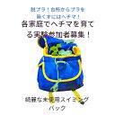 【7/19 20:00〜限定P10倍+店内最大1,500円OFFクーポン!!】 脱プラチャレンジ!各家庭で「へちま」を育てる実験参加者募集!がっちり伸びてる苗2...