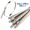 ステンレス 結束バンド タイラップ 4.6 x 250mm 25cm 25センチ 10本 セット ホースバンド インシュロック 耐熱 耐腐食 屋外 コード ケー...