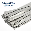 ステンレス 結束バンド タイラップ 4.6 x 250mm 25cm 25センチ 100本 セット ホースバンド インシュロック 耐熱 耐腐食 屋外 コード ケ...