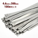 ステンレス 結束バンド タイラップ 4.6x300mm 100本 セットホースバンド インシュロック 耐熱 耐腐食 屋外 コード ケーブル 配線工事 車 バイク 排気管 マフラー パイプ 配線 整理 ガーデニング