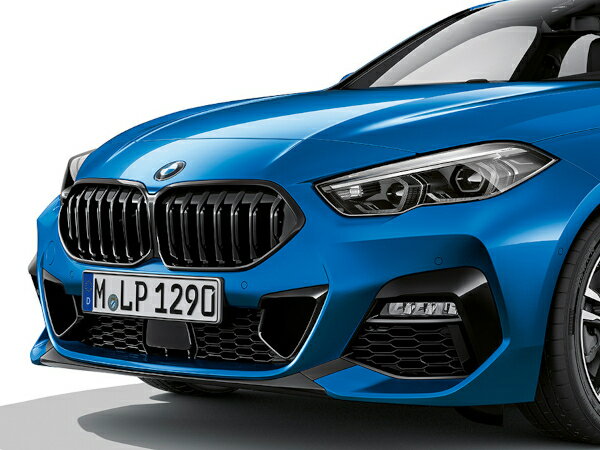 BMW 純正 キドニーグリル 2シリーズ 51135A39376　