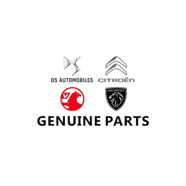 シトロエン 純正 左フロントエアバンプ C3 新モデル 98334808XT　