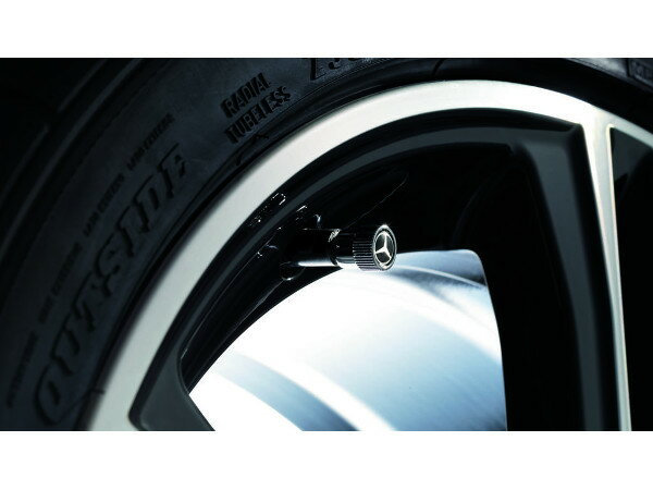 ��륻�ǥ��٥�� ���� �����Х�֥���å� �ۥ����� EQE V295 EQS V297 S���饹 W223 EQB X243 GLC X253 G���饹 W463 GT C190 B66472002