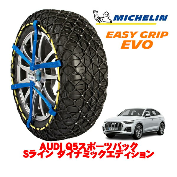 MICHELIN 正規品ミシュラン スノーチェーン イージーグリップ EVO サイズ16 255/45R20 20インチ スノーソックス タイヤ チェーン 非金属 AUDI Q5スポーツバック Sライン ダイナミックエディション 3CA-FYDTPS 4WD