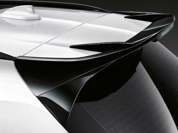BMW 純正 ルーフスポイラー X3 G01 X4 G02 iX3 G08 51192464329　
