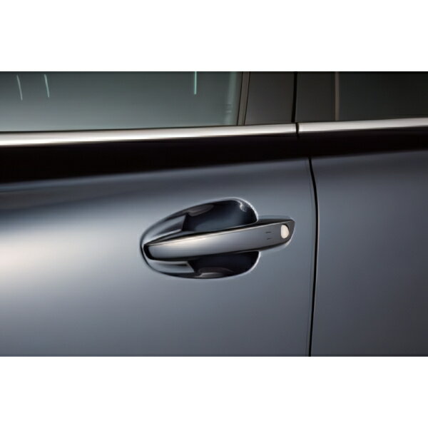 【11/27まで!ポイント10倍】シトロエン 純正 グランド C4 スペースツアラー ドアエッジプロテクター ドアガード キズ防止 フィルム アクセサリー DEPB78(2)