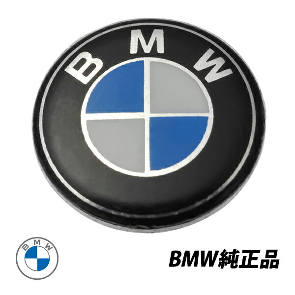 BMW純正リモコンキーエンブレム 11mm 66122155754