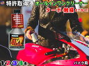 CATACLEAN バイク用 （選べる本数） エンジンシステム洗浄剤 特許取得済 次世代ガソリン添加剤 燃料添加剤 触媒 EGR DPFまで効果あり オールインワンクリーナー 燃料系洗浄剤 燃費向上 エンジン性能 排気性能 回復 レスポンスアップ レース サーキット