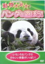 動物大好き! パンダと遊ぼう! / DVD