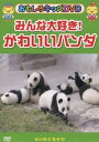 おもしろキッズDVD みんな大好き! かわいいパンダ / DVD