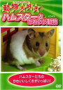 動物大好き!ハムスターとかわいい動物/ DVD