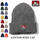 ニットキャップ BEN DAVIS ベンデイビス ニット帽 BDW-9500 コットン ニットキャップ COTTON KNIT CAP 帽子 ネコポス メール便送料無料 新生活 クリスマス 引っ越し プレゼント