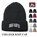 ベンデイビス ニット帽 レディース ニットキャップ BEN DAVIS ベンデイビス ニット帽 BDW-9500CL カレッジコットン ニットキャップ COLLEGE COTTON KNIT CAP 帽子 ネコポス メール便送料無料 新生活 母の日 引っ越し プレゼント