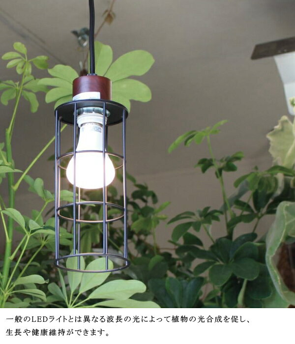 プランツライト 40 クール 電球色 BRID ブリッド 3381 40W 照明 植物 ライト 育成 ...